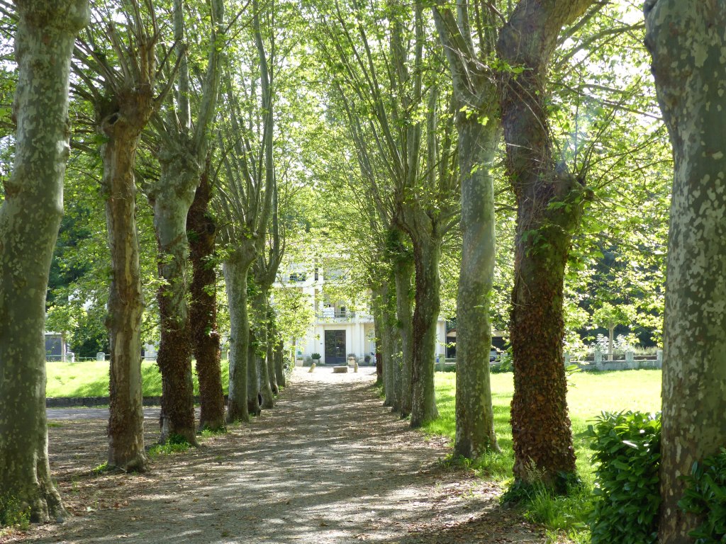 L'allée du parc vers la villa Ferras.