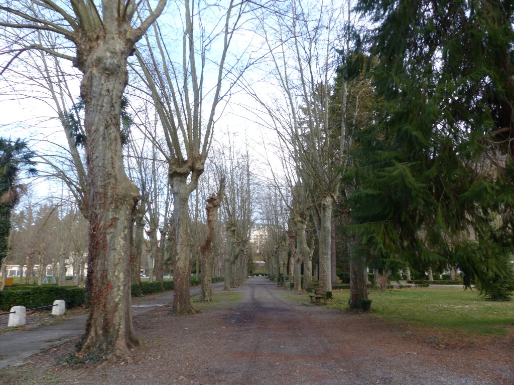 L'allée du parc vers l'ancien Grand Hôtel.