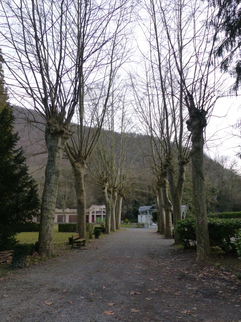 L’allée du parc donnant sur la buvette.