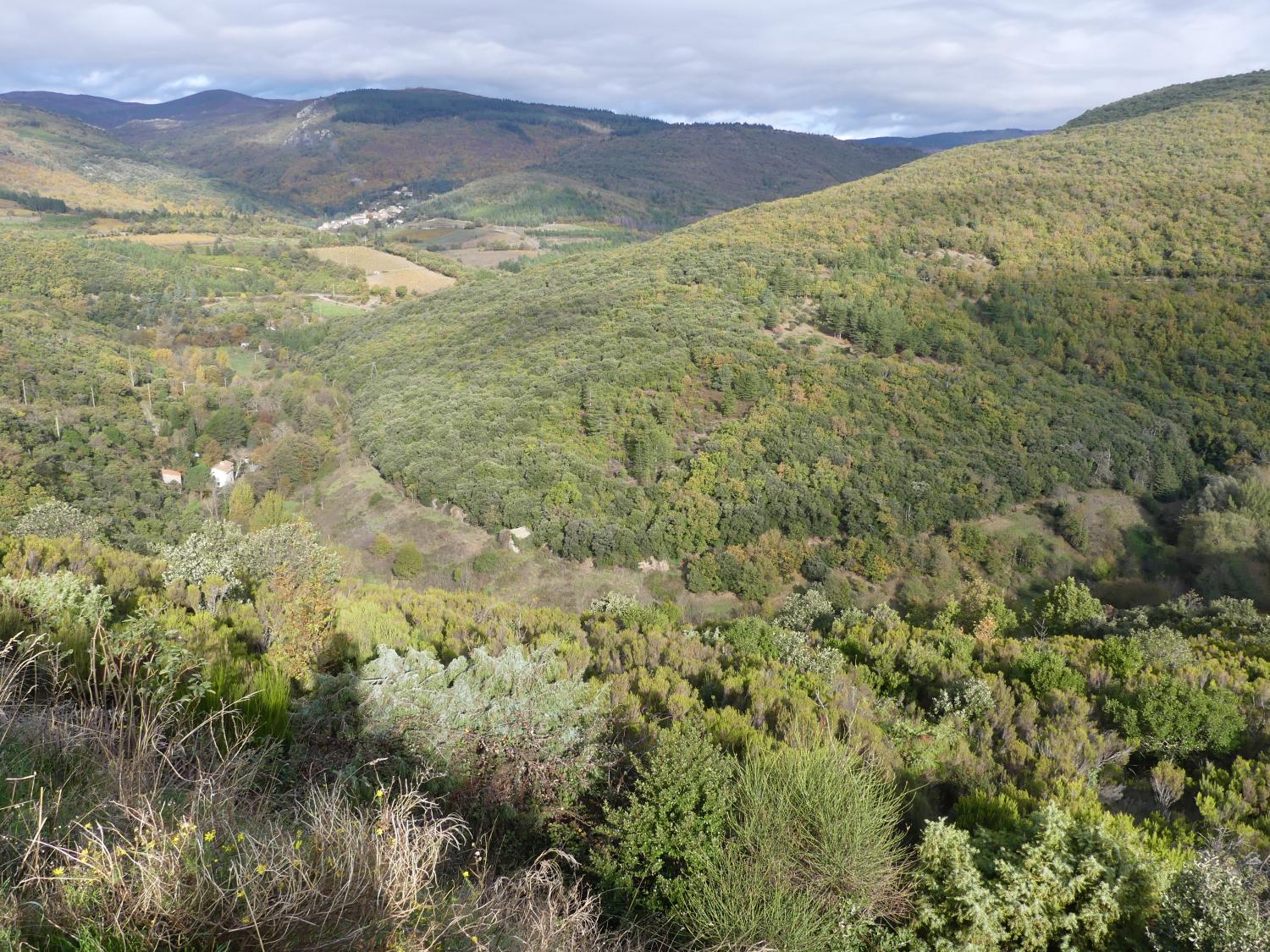 Vallée de la Cesse, moulin de Brail.