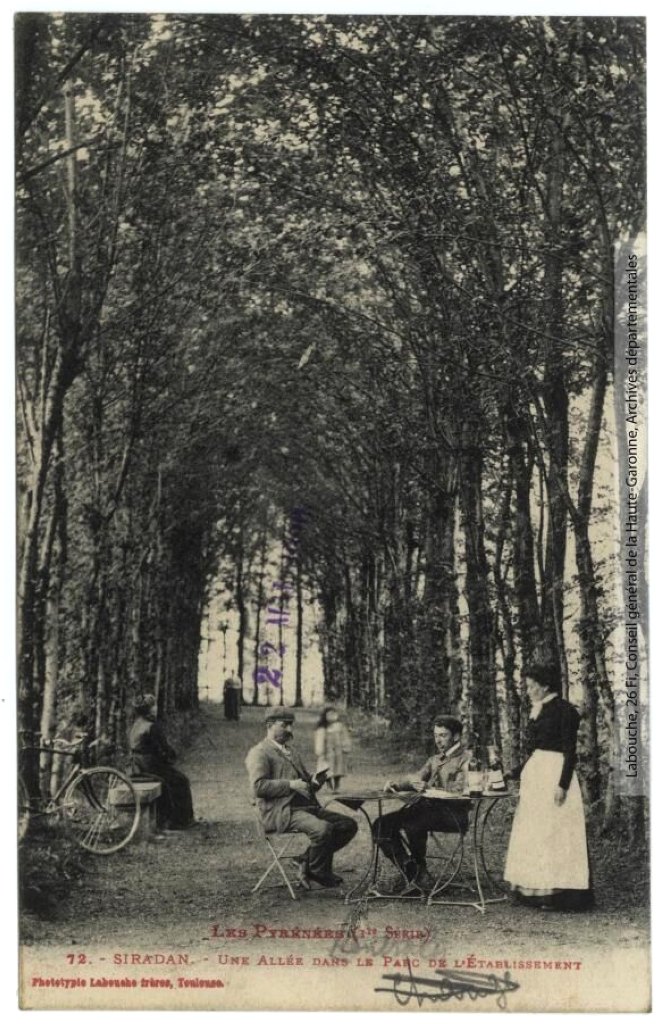 Une allée dans le parc de l'établissement.