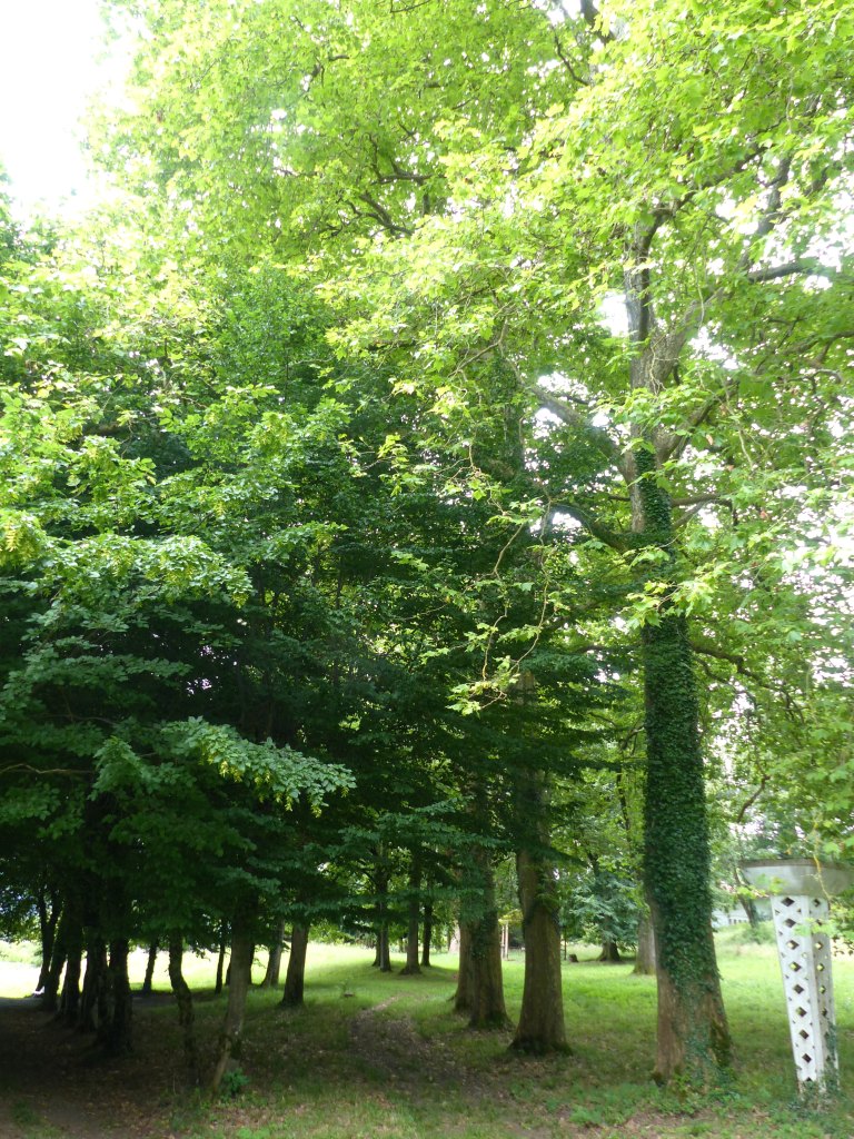 Vue du parc thermal.