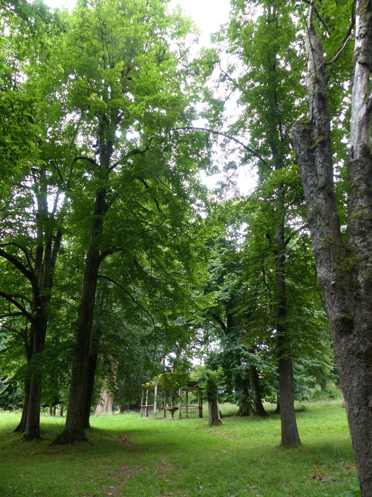 Vue du parc thermal avec en fond l'ancienne buvette.