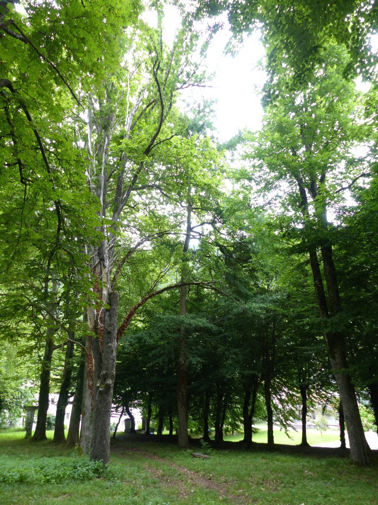 Vue du parc thermal.