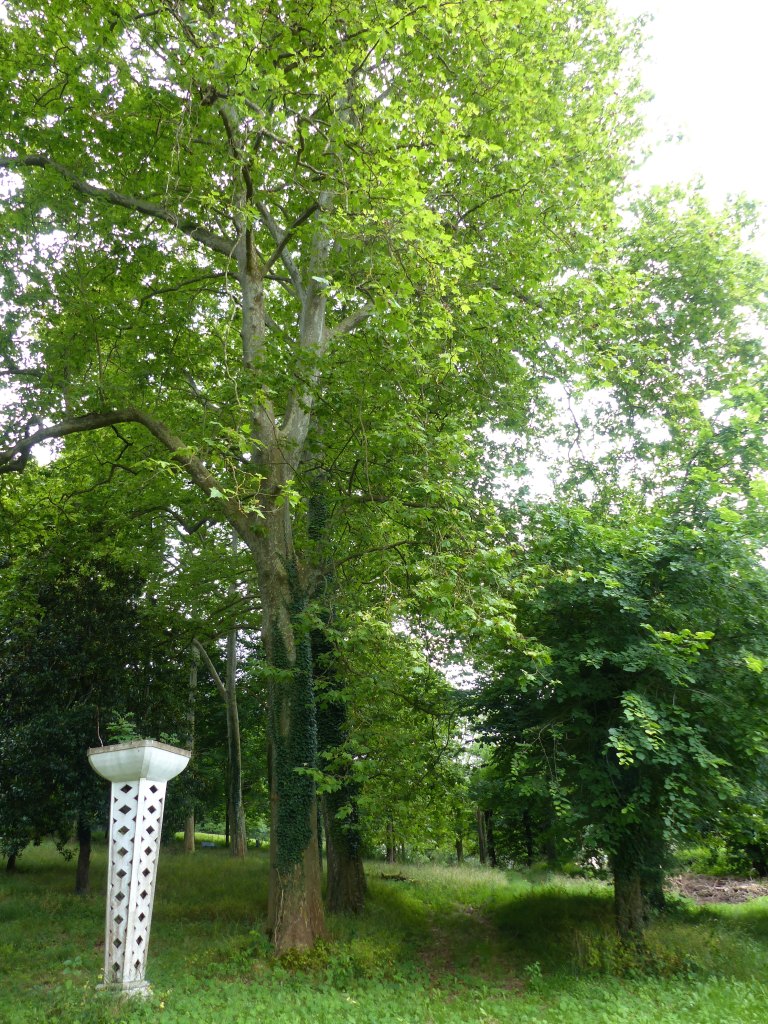 Vue du parc thermal.
