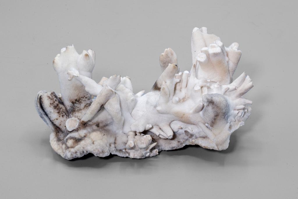 Echantillon de "Stalactite fibreuse" identifié PL949 découvert dans "des Mines de fer de Rancié dans la vallée de vicdessos et de la tour de Bater en Rouissillon"