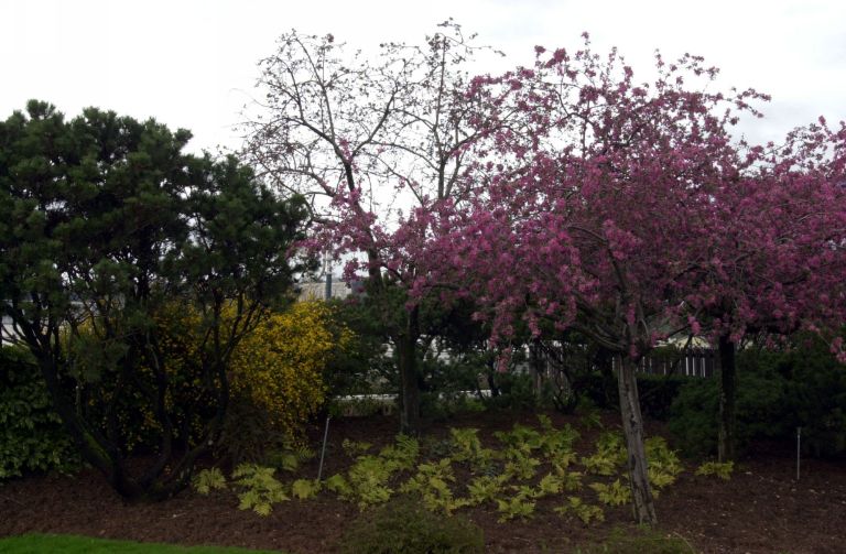 Détail des jardins suspendus, côté Rhône