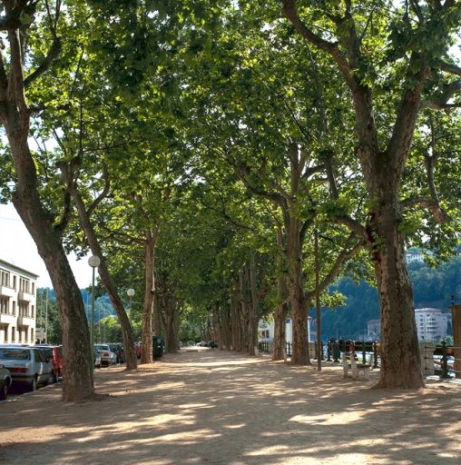 Vue de la promenade du quai Rambaud, vers le sud, à la hauteur du cours Suchet