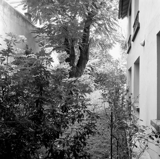 Vue partielle du jardin