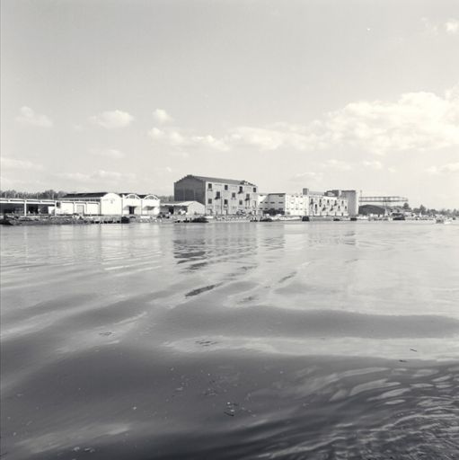 Vue d'ensemble depuis le sud-ouest, rive droite de la Saône