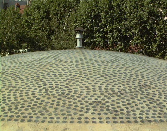 Détail de la coupole du toit