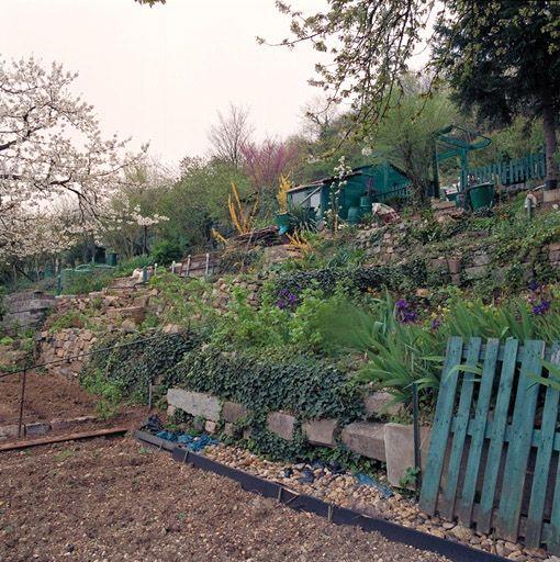 Détail jardin