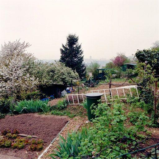 Détail potager