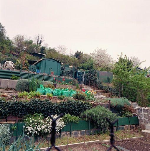 Jardin n° 39