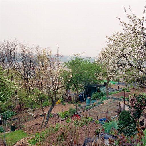 Potager