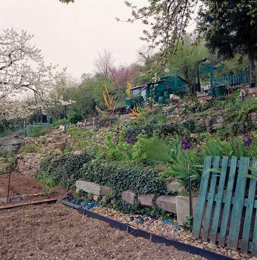 Détail jardin
