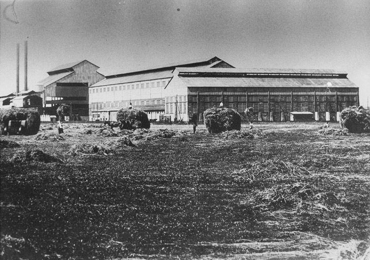 Vue des anciennes aciéries du sites Vénissieux