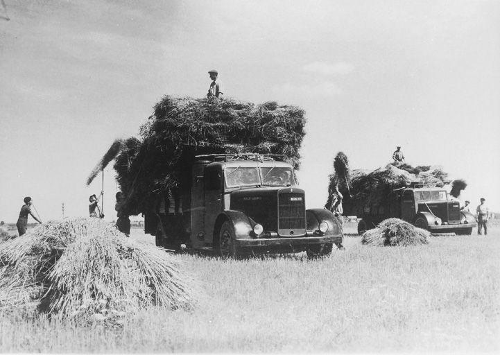 Moissons à la cité Berliet avec les véhicules Berliet