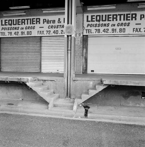 Allée latérale ouest : escalier menant au quai de déchargement