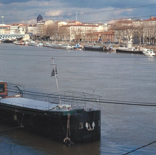 Vue d'ensemble depuis le sud-ouest, la travée de rive et la travée sur le quai Rambaud