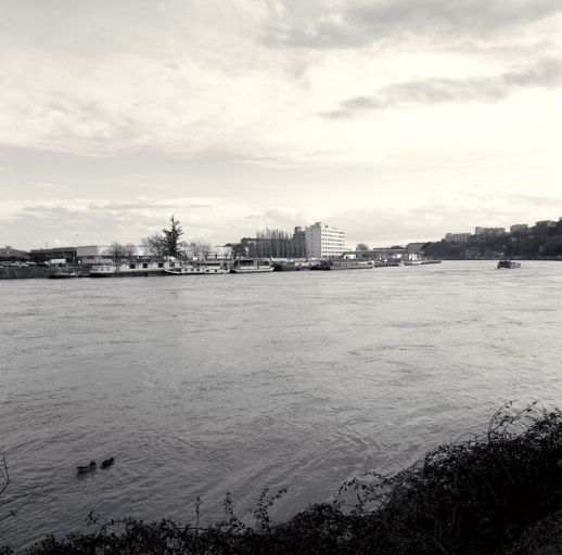 Vue d'ensemble du site depuis le nord-ouest, rive droite de la Saône