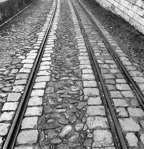 Les rails sur le bas-quai, rive gauche, à la hauteur de la place Gensoul