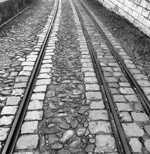 Les rails sur le bas-quai de la rive gauche, à la hauteur de la place Gensoul