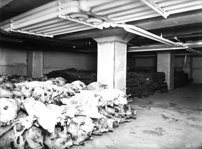 Stockage viande congelée