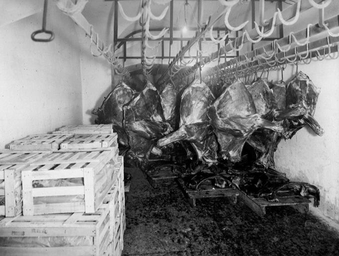 Stockage quartier de viande