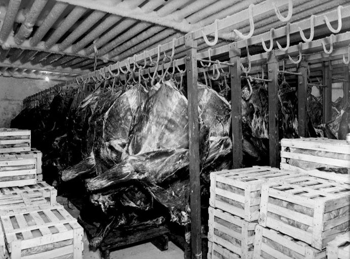 Stockage viande