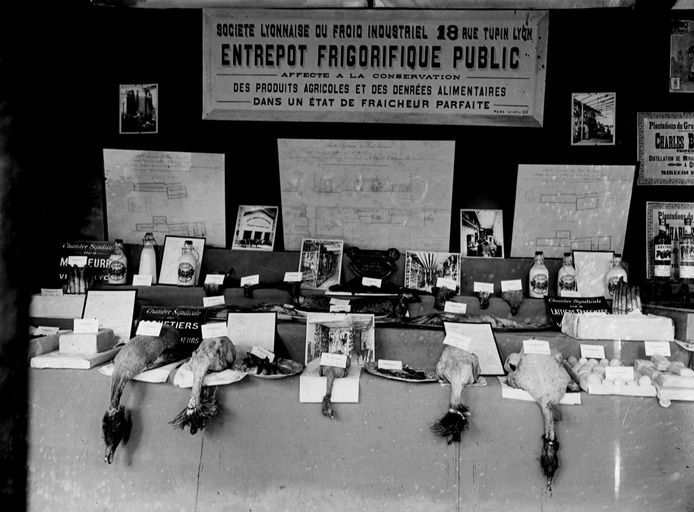Présentoire publicitaire foire de Lyon