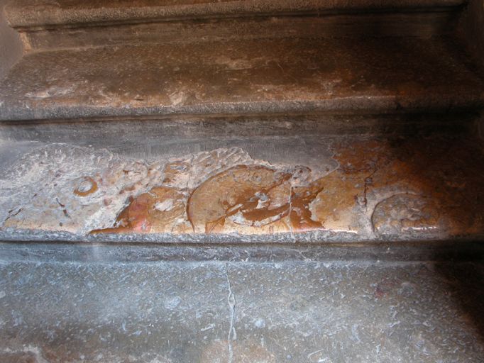 Escalier, détail d'une marche en pierre à griphées du Mont d'Or exceptionnellement riche en fossiles.