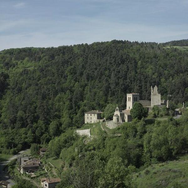 Vue générale du site d'Ecotay.