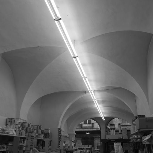 Voûte du magasin nord.