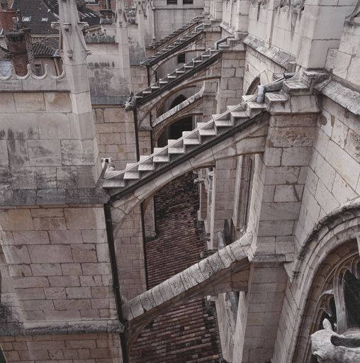 Elévation sud de la nef, perspective des arcs-boutants vue depuis le transept.