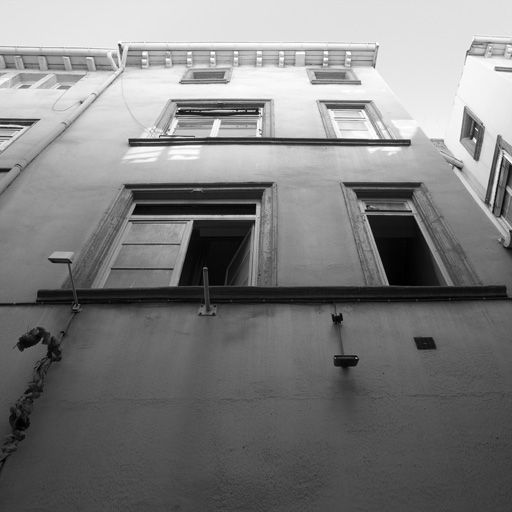 Ancienne maison A la pomme de pin, élévation du corps arrière sur la rue Pléney.