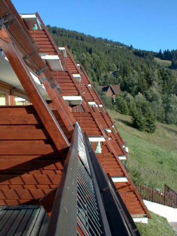 Vue des terrasses en gradins. Détail.