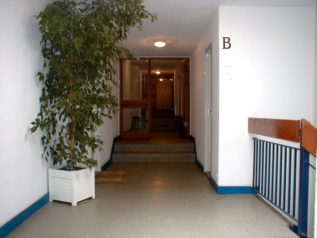 Coursive du niveau 8.