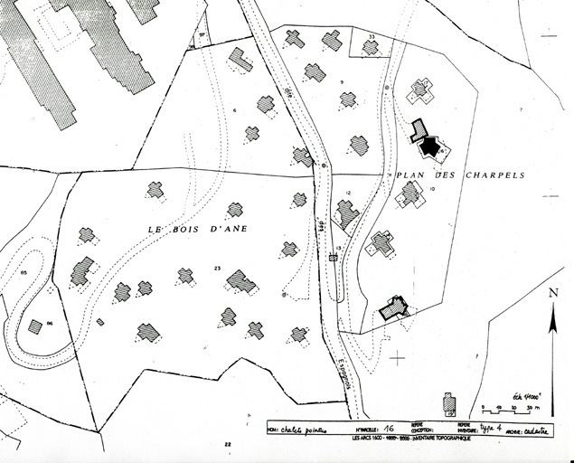 Plan masse d'après le plan cadastral, 1993, section AH.