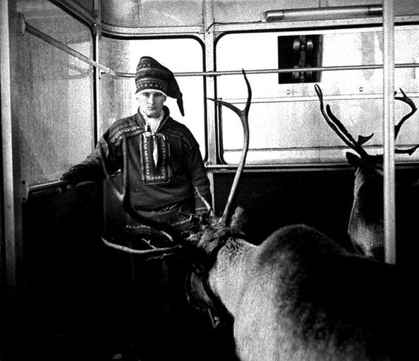 Intérieur de la cabine : transport de rennes. Photographie, vers 1965 (A. Office du tourisme d'Avoriaz)