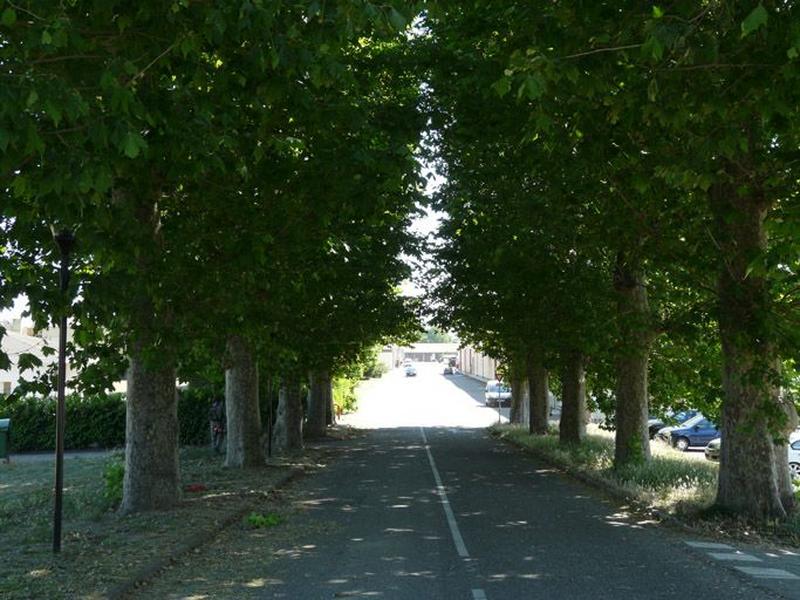 Allée arborée du 7eme RMAT Sabatier