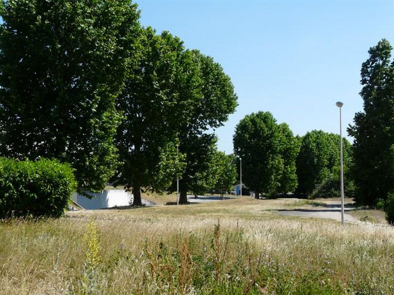 Vue des espaces végétalisés