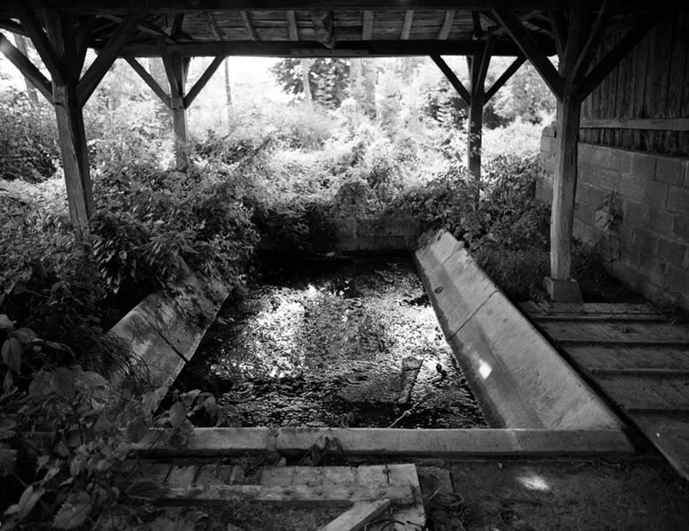 Vue intérieure : le grand bassin du lavoir, avant travaux de réfection.