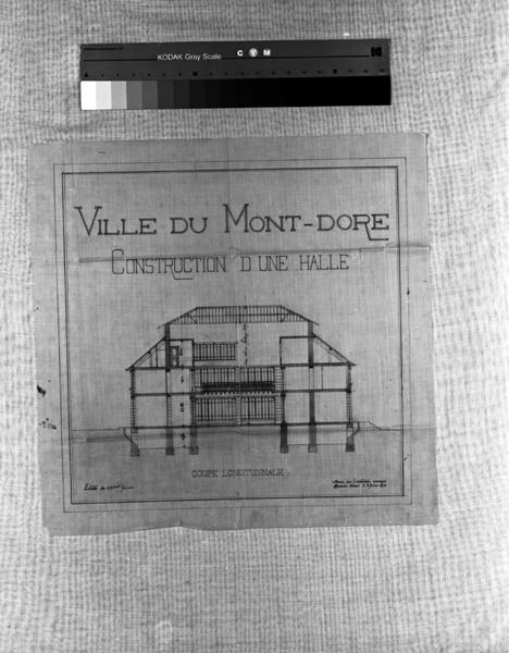 'Ville du Mont-Dore Construction d'une halle Coupe longitudinale Calque, encre noire, lavis rose; par Louis Jarrier, 8 février 1902'