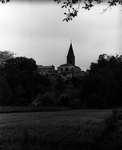 Vue générale de l'église dans le site, depuis l'est