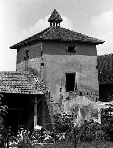 Vue générale d'un pigeonnier sur resserre (Les Moussouves, Limons)