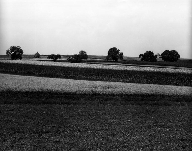 Vue générale du lieu-dit Le Tertre Pouilleux, sur la commune de Maringues.