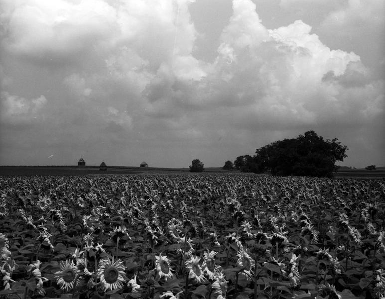 Vue générale du lieu-dit Le Tertre Pouilleux, sur la commune de Maringues.