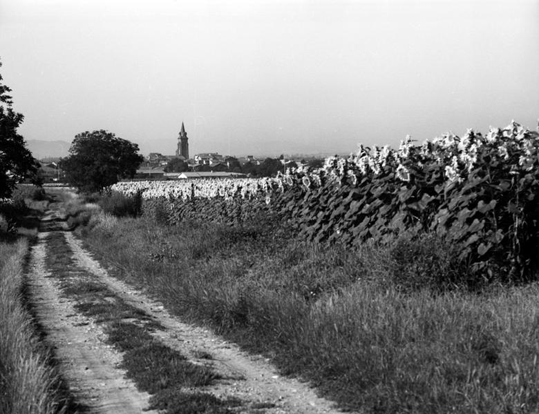 Vue de la ville de Maringues depuis le lieu-dit Le Tertre Pouilleux