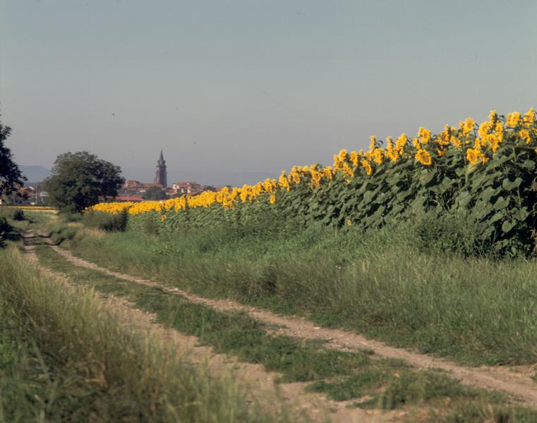Vue de la ville de Maringues depuis le lieu-dit Le Tertre Pouilleux